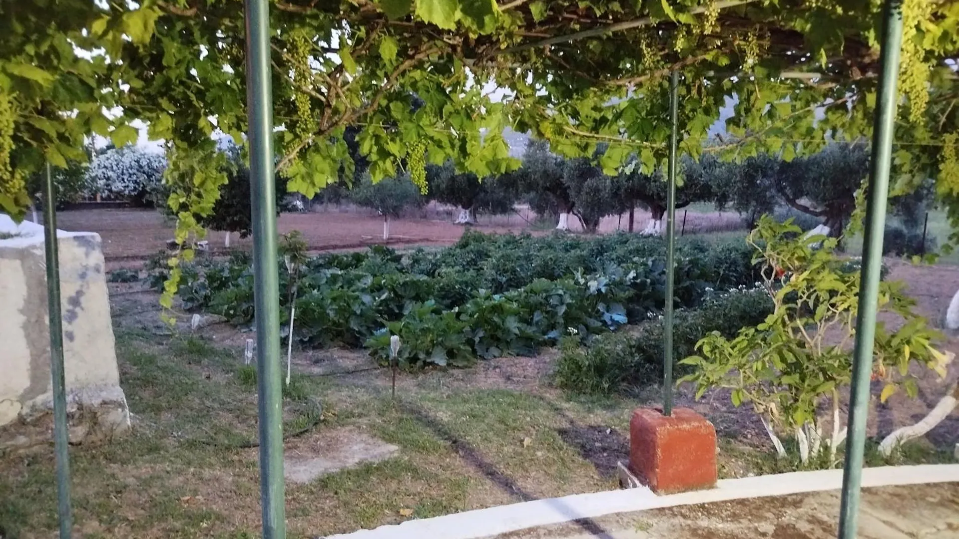 فيلة Sunrise Vila ليكسوري اليونان